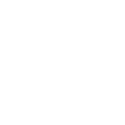 Cyber Security Technician – Level 3